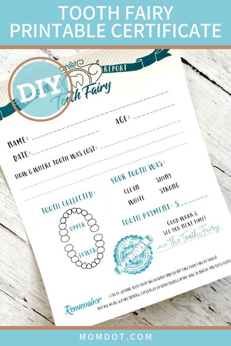 Tooth Fairy Names, Tooth Fairy Printable, Tooth Fairy Letter Template, Fairy Printable, Tooth Fairy Note, Tooth Fairy Receipt, Silhouette Disney, Free Printable Certificates, Tooth Fairy Kit