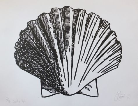 Scallop Shell Lino (Print print run of 16), Linocut by Susannah ... Textile Drawing, Scallop Tattoo, Scallop Drawing, Shell Print, Scallop Shell Drawing, Scallop Shell, Scallop Inktober, Shell Linocut, Linocut Seashell