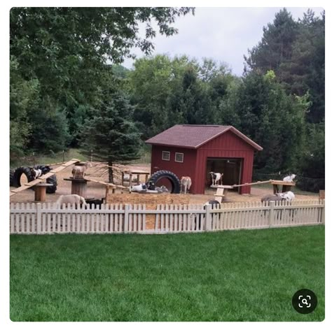 Goat Pen Aesthetic, Farm Animal Pen Ideas, Goats Farm Ideas, Cute Goat Enclosures, Mini Farm Ideas Animals, Fun Goat Pen Ideas, Cute Goat House, Mini Petting Zoo, Small Backyard Farm Ideas