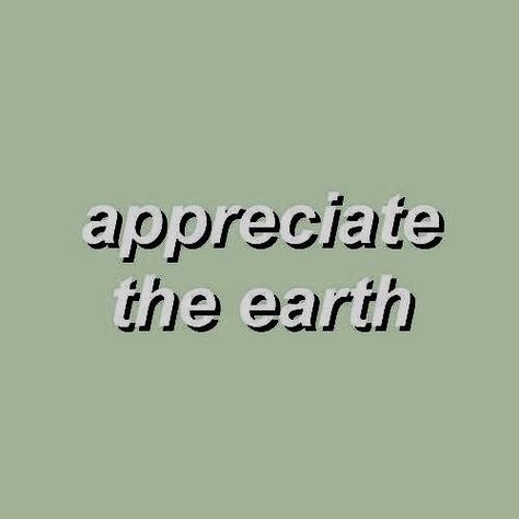 appreciate the earth Sustainable Living Quotes, Sustainability Quotes, Green Quotes, Mint Green Aesthetic, Photo Wall Collage, Aesthetic Colors, Save Earth, Aesthetic Collage, What’s Going On