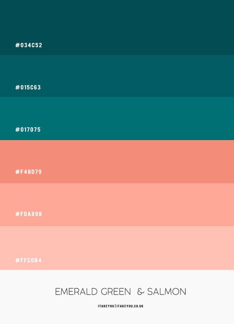 Colour Combinations Code, Salmon Color Pallete, Salmon And Green Color Palette, Salmon Color Combinations, Emerald Color Pallete, Teal Color Palette Hex Code, Teal Combination Colors, Emerald Green Combination Color, Salmon Colour Palette