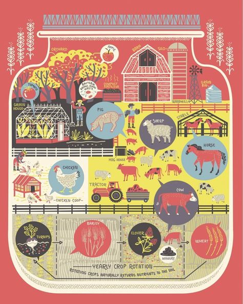 Illustration of a farm from my new book The Wondrous Workings of Planet Earth 🌏. This book isn’t just about wild life, it also talks about people, and how we need to build and farm sustainably. . . . Hits stores Tuesday!!!! Only 2 more days! Preorder... Books About Science, Pig House, Chicken Tractor, 2 More Days, Best Selling Author, Crop Rotation, About People, In A Jar, Wild Life