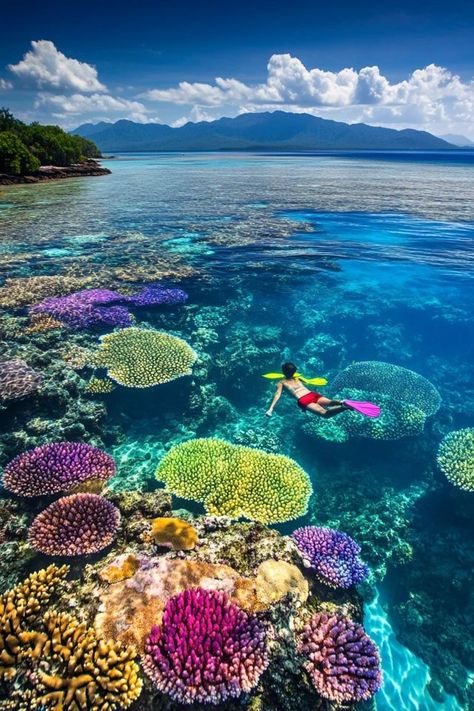 "🐠🌊 Dive into adventure with snorkeling in the Great Barrier Reef! Discover vibrant marine life, colorful coral, and underwater wonders. Swipe through our images for a peek into this amazing underwater world! 🌟🏝️ #GreatBarrierReef #SnorkelingAdventure #AustraliaTravel" Great Barrier Reef Snorkeling, Coral Reef Photography, Great Barrier Reef Australia, Barrier Reef Australia, Under The Ocean, The Great Barrier Reef, Mermaid Life, Cool Pictures Of Nature, Great Barrier Reef