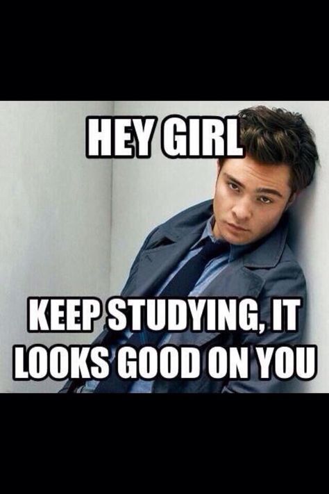 Study Motivation ❤️ How I love Chuck Bass.. Study Motivation Funny, Funny Study Motivation, Law Motivation Student Quotes, Law Student Motivation Quotes, Study Memes Funny Student, Study Motivation Meme, Study Motivation Memes Funny, Law Student Memes, Studying Funny