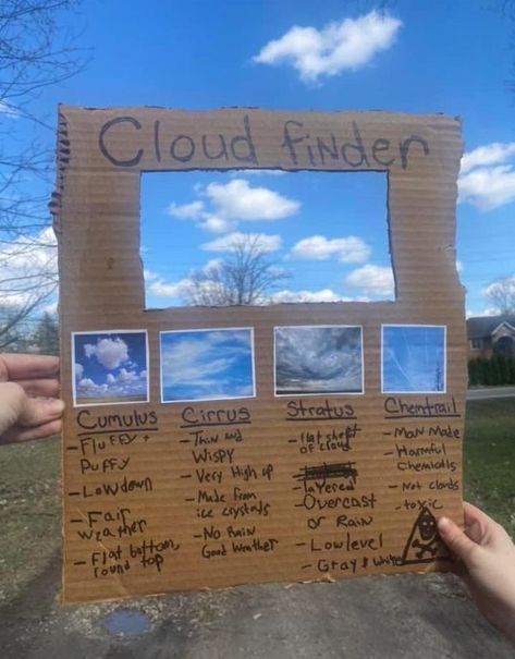 Cloud Finder, Clouds Lesson, Cloud Type, Diy Clouds, Fun Educational Activities, Positive Inspiration, No Rain, Art Activities For Kids, Homeschool Science