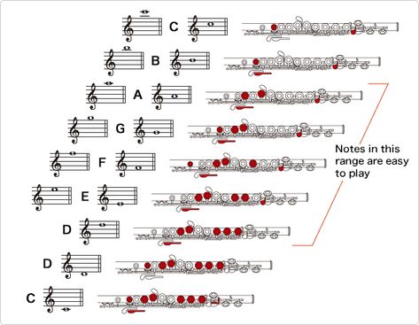 How to Play the Flute:Playing the Flute - Musical Instrument Guide - Yamaha Corporation Flute Fingering Chart, Flute Lessons, Recorder Songs, Music Theory Piano, Reading Sheet Music, Band Jokes, Flute Sheet Music, Brass Instruments, Easy Piano Sheet Music