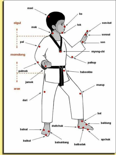 Parts of the body in Korean. Taekwondo Terminology, Taekwondo Forms, Taekwondo Poomsae, Taekwondo Techniques, Taekwondo Kids, Tkd Taekwondo, Korean Martial Arts, Karate Kata, Tang Soo Do