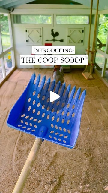 Chicken Coop Scoop, Small Chicken Coop Decor, Chicken Coop Backyard Ideas, How To Keep Chicken Coop Clean, Chicken Coop Shade Ideas, Chicken Coop Sand Floor, Poop Shelf Chicken Coop, Chicken Coop Flooring Bedding, Sand In Chicken Coop