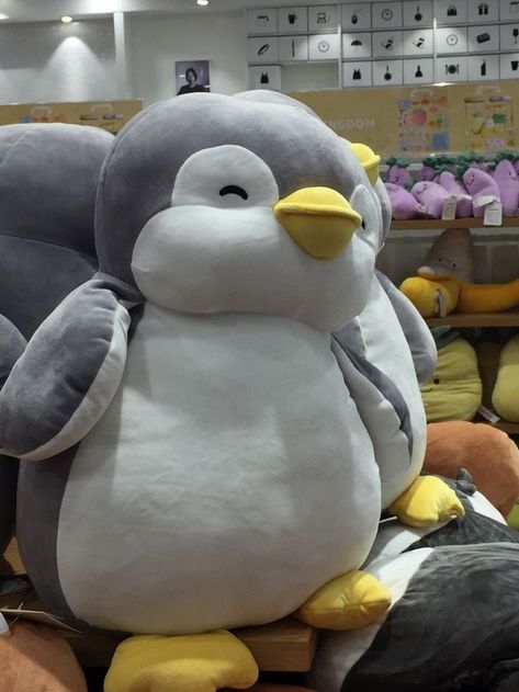 Penguin Plush Aesthetic, Cute Stuff Toys Aesthetic, Penguin From Miniso, Penguin Stuff Toy Aesthetic, Miniso Plushies Penguin, Stuff Toy Aesthetic, Penguin Plushie Aesthetic, Stuff Toys Aesthetic, Penguin Stuff Toy