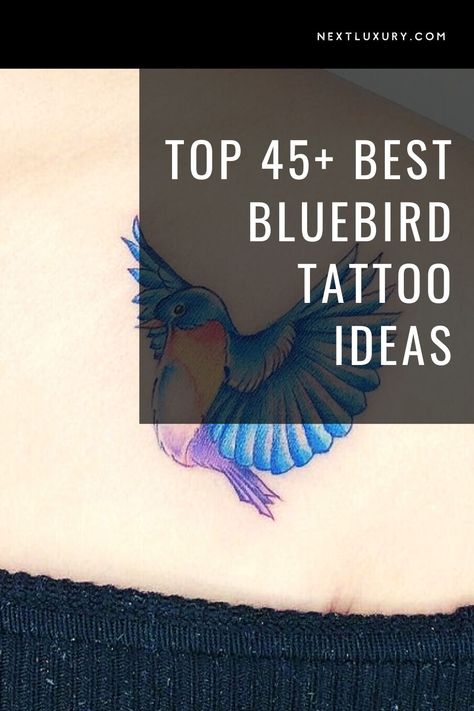 A bluebird tattoo most often symbolizes good luck, positivity, happiness, and innocence. With so many tattoo designs associated with nautical themes and sailors, the bluebird is a favored design in American and Neo-Traditional tattooing, used to represent good fortune, sweet seas, and bright blue skies. #nextluxury #bluebirdtattoo #birdtattoodesigns #bluebirdtattooideas #birdtattoos Bluebird Tattoo Meaning, American Traditional Blue Bird Tattoo, Small Blue Jay Tattoo, Bluebird Forearm Tattoo, Blue Bird Tattoos, Bluebird On My Shoulder Tattoo, American Traditional Bluebird Tattoo, Abstract Bird Tattoo, Tiny Blue Bird Tattoo