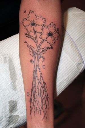 Flowers with roots. Roots Tattoo, Flower Growing, Growing Flowers, Flower Tattoos, Flower Tattoo, Tatting, Body Art, Tattoos, Nails