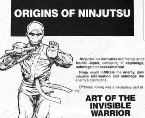 Ninjitsu Techniques, Ninjitsu Training, Ninjutsu Techniques, Ninja Japan, Martial Arts Books, Fighter Workout, Ultimate Man Cave, Ninja Art, Martial Arts Techniques