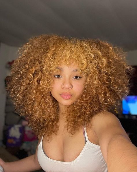 Curly Hair Honey Blonde, Blonde Hair Strawberry, Mixed Girl Curly Hair, Hair Blonde Curly, Curly Hair Blonde, Hair Honey Blonde, Mixed Girl, Dyed Curly Hair, Mixed Curly Hair