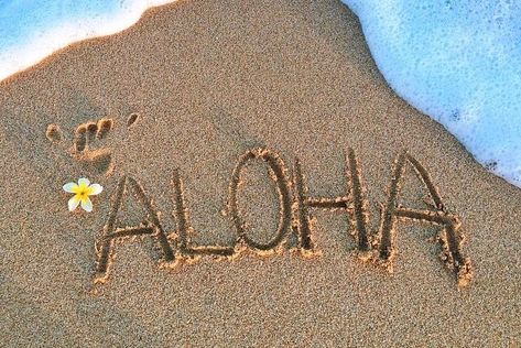 Beach Wall Collage, Aloha Summer, Cute Summer Wallpapers, Wallpaper Iphone Summer, Summer Backgrounds, Ocean Wallpaper, Preppy Wallpaper, Beach Wallpaper, Summer Wallpaper