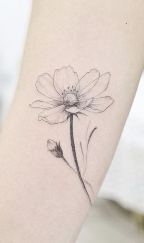 Summer Flowers Tattoo, Greyscale Flower Tattoo, Anemone Flower Tattoo, Michelle Tattoo, Ranunculus Tattoo, Anemone Tattoo, Lily Magnolia, Cosmos Tattoo, Flor Tattoo