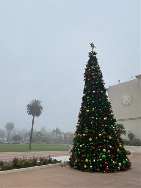 Loyola Marymount University Aesthetic, Loyola Marymount University, University Aesthetic, Dream College, Los Angeles City, City Of Angels, California State, School College, College Life