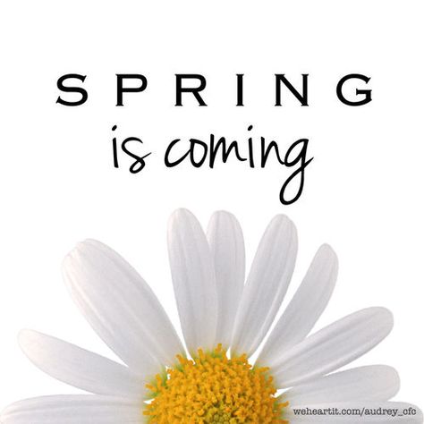 Spring is coming spring winter spring quotes hello spring goodbye winter hello spring quotes Hello Spring Quotes, Goodbye Winter Hello Spring, Winter Sayings, Goodbye Winter, Fitness For Women, Acts Of The Apostles, Names Of Christ, Spring Quotes, Editorial Calendar