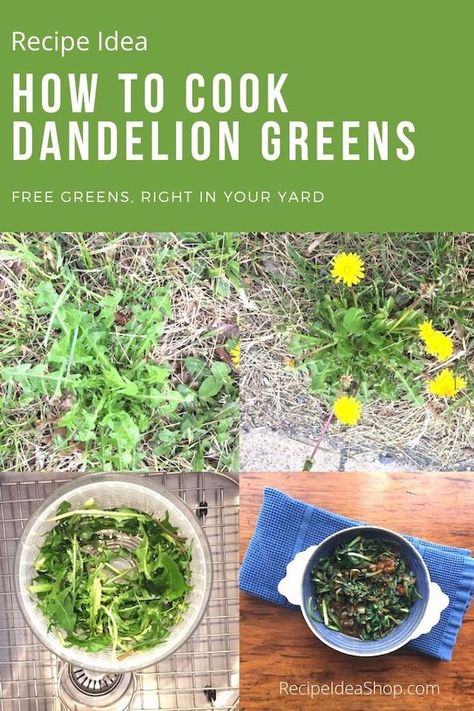 How to Cook Dandelion Greens Recipe. #Dandelion-greens-recipe #howtocook #cookathome #recipes #food #healthy #foraging #glutenfree #dairyfree #vegan #recipeideashop Bitter Greens Recipe, How To Cook Dandelion Greens, Dandelion Juice Recipe, Dandelion Recipes Greens, Sauteed Dandelion Greens Recipe, Dandelion Greens Recipe, Dandelion Tea Recipe, Dandelion Greens Recipes, Eat To Live Recipes