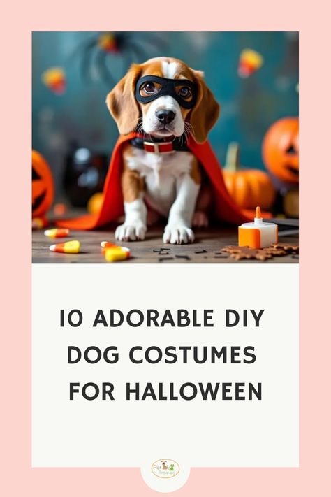 Puppy dressed in a superhero costume with pumpkins and Halloween decorations. Peter Pan Dog Costume, Costumes For Dog And Owner, Diy Dog Costumes Pets, Easy Dog Costumes, Diy Pet Costumes Dogs, Diy Dog Costumes For Halloween, Diy Dog Costume, Pug Halloween Costumes, Dog Costumes For Kids