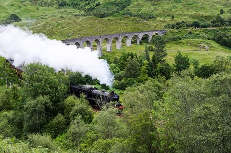 The Jacobite steam train (a.k.a. the real Hogwarts Express) is back in business. And no, you don't have to pass through platform 9 and 3/4 to get there. Glenfinnan Monument, Harry Potter Train, Glenfinnan Viaduct, Harry Potter Filming Locations, Scenic Train Rides, Scotland Uk, Hogwarts Express, Steam Train, Train Journey