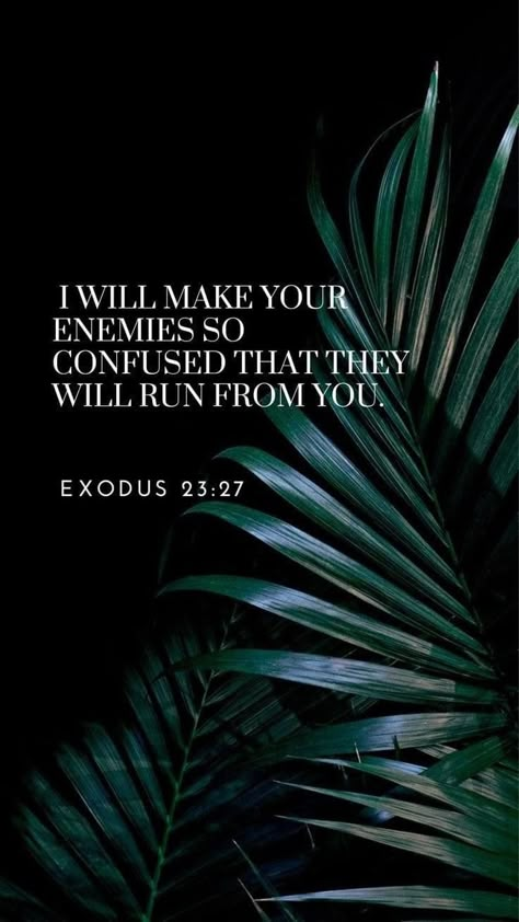 Protection Scriptures Bible Verses, Resilience Bible Verse, Exodus Bible Verses, Exodus Verses, God Is My Protector, Bible Quotes Background, My Protector, Worship Quotes, Grow Spiritually