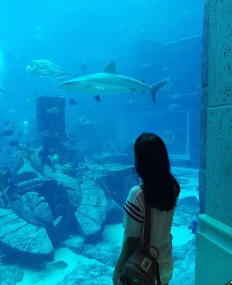 Faceless Ulzzang Girl, Faceless Ulzzang, Jakarta Aquarium, Asian Gf, Gf Material, Ulzzang Girl, Soho, Jakarta, On Instagram