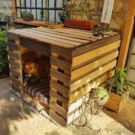 Diy Dog Run, Backyard Dog Area, Kennel Ideas Outdoor, Pallet Dog House, Diy Pet Bed, Puppy Room, Wooden Dog House, Dog House Plans, Outdoor Dog House