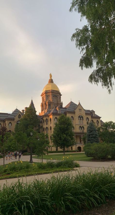 Notre Dame Law School, University Of Notre Dame Aesthetic, Notre Dame University Aesthetic, Notre Dame Aesthetic, Notre Dame Campus, Notre Dame College, University Aesthetic, College Vision Board, Golden Dome