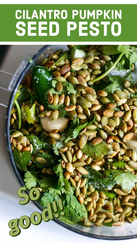 Cilantro Pumpkin Seed Pesto, Pesto Recipe Vegetarian, No Basil Pesto, Pumpkin Seed Pesto Recipe, Different Types Of Pesto Recipes, Hemp Seed Pesto, Pumpkin Seed Dressing, Pumpkin Pesto Recipe, Cilantro Pesto Recipe