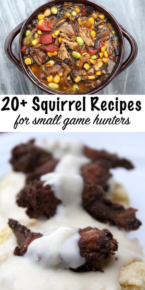 20 + Squirrel Recipes for Small Game 20 + Squirrel Recipes for Small Game Hunters ~ Wild Game Recipes #squirrel #recipe #howtocook #wildgame #hunting #survivalist #prepper #homesteading Squirrel Recipes, Squirrel Food, Deer Recipes, Deer Meat Recipes, Food Hunter, Deer Meat, Game Recipes, Wild Game Recipes, Venison Recipes