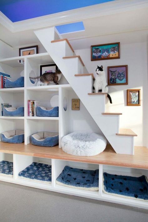 Cat Room Decor, Cat Furniture Design, Cat Area, Cat Bedroom, Cat Patio, Cat Hotel, Cat Tree House, Cat Wall Furniture, Cat House Diy