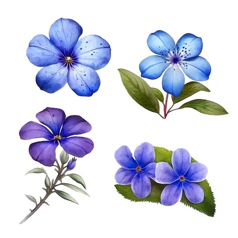 Periwinkle flower watercolor paint colle... | Premium Vector #Freepik #vector #pansy Periwinkle Flowers Tattoo, Periwinkle Drawing, Periwinkle Flower, Periwinkle Flowers, Garden Tattoos, Paint Collection, Garden Tattoo, Reference Pics, Magic Garden