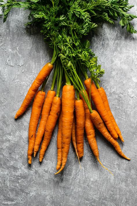 Watercolour Carrots, Carrots Photography, Carrot Photography, Health Benefits Of Carrots, Carrot Baby, Organic Carrots, Vegetables Photography, Kitchen Top, Healthy Vegetable