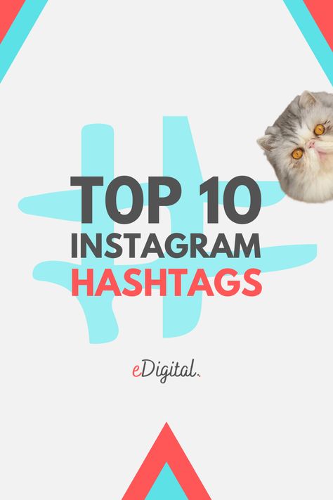 THE TOP 10 MOST POPULAR INSTAGRAM HASHTAGS Popular Instagram Hashtags, Hastag Instagram, Social Media Strategy Plan, New Instagram Logo, Ranking List, Marketing Plan Template, Trending Hashtags, Popular Hashtags, Digital Marketing Plan