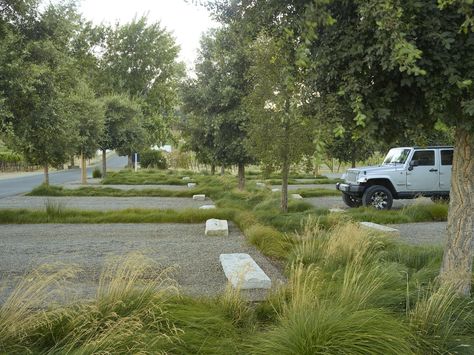 Parking Lot Architecture, Urban Landscape Design, Park Landscape, Landscape Elements, Landscape Architecture Design, Rain Garden, Green Park, Parking Design, Salou