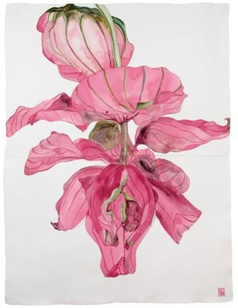 Sarah Graham exhibition opens 26th September - BOTANICAL ART & ARTISTS Sarah Graham Artist, Medinilla Magnifica, Signs Youre In Love, Sarah Graham, Fungi Art, Flora Fauna, Art Instructions, Art Pricing, Art Workshop