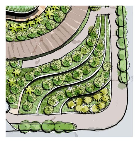 curve planter, terraced planter, cascading planter, curving plant box Landscape Terrace, Cascading Planter, Site Plan Design, Villa Architecture, Landscaping A Slope, Landscape Architecture Plan, Landscape Design Drawings, Urban Design Concept, Landscape Architecture Drawing