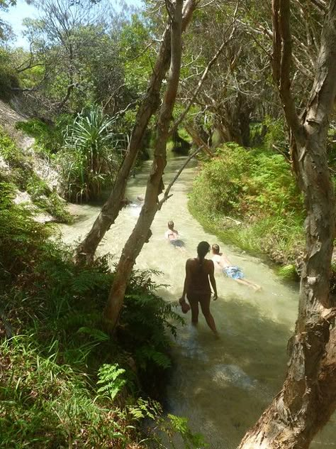 Eli Creek Fraser Island | Eli Creek on Fraser Island - nomad… | Flickr Eli Creek Fraser Island, Fraser Island Aesthetic, Aus Travel, Australia Lifestyle, Fraser Island Australia, Aussie Summer, Winter In Australia, Winter In Japan, Canada Summer