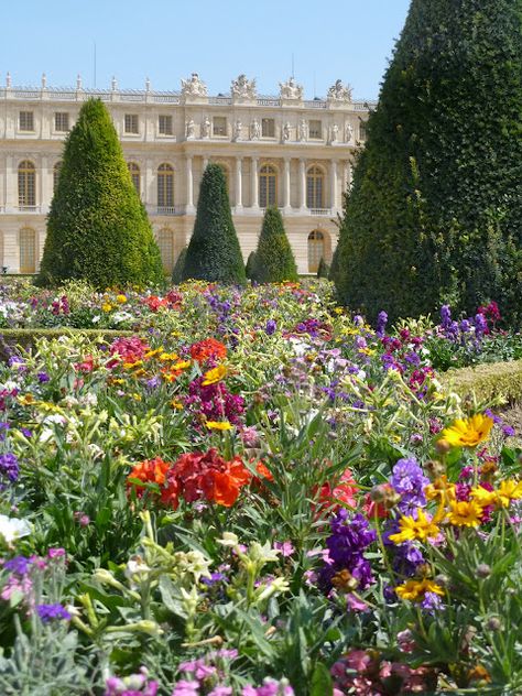 Versailles Gardens, Life In France, Versailles Garden, Chateau Versailles, Versailles France, Vintage Holiday Decor, Palace Of Versailles, Paris At Night, Louvre Paris