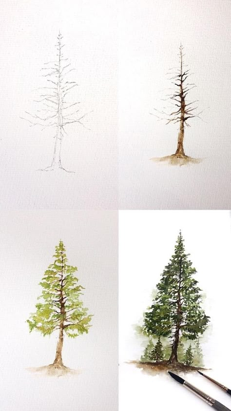 Pine Tree Painting, Tree Artwork, Watercolor Tree, Watercolor Painting Techniques, 수채화 그림, Diy Watercolor, Watercolor Art Lessons, Watercolor Trees, Tree Drawing