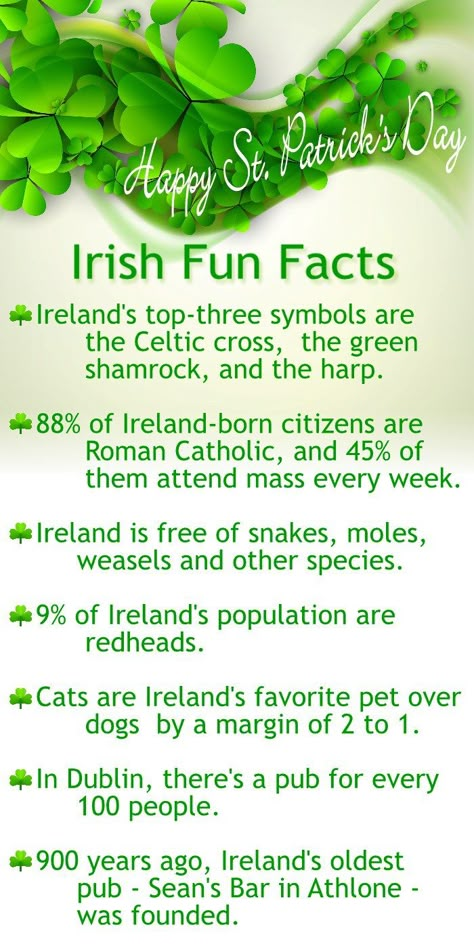 Fun and Interesting Facts About Ireland: Irish Fun Facts for St. Patrick's Day Ireland Facts, Bread Muffins, Bread Easy, Irish Quotes, Irish Roots, Irish Soda, Irish Culture, Irish Pride, Irish Eyes