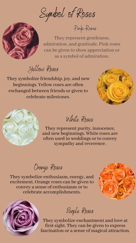 Orange Rose Meaning, Yellow Rose Symbolism, Orange Roses Meaning, Yellow Tulips Meaning, Yellow Flowers Meaning, Pink Rose Meaning, Yellow Roses Aesthetic, Red Rose Meaning, Rose Symbolism