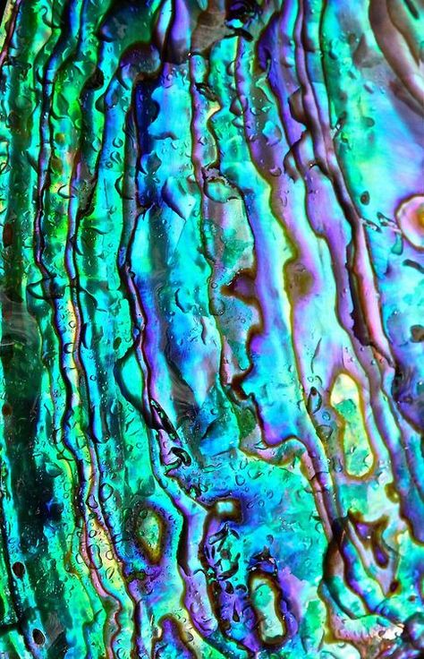 Holographic, Pink and Glitters - natural inside of a sea shell Pics Art, Abalone Shell, Color Textures, Textures Patterns, Green And Purple, Color Inspiration, Color Me, Wallpaper Backgrounds, Pixel Art