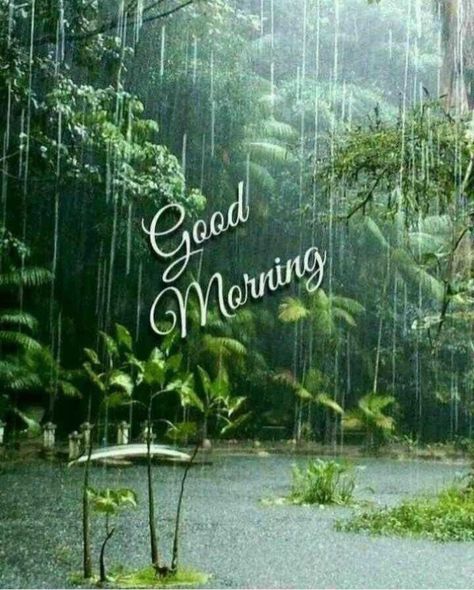 Good Morning Rain, Rainy Good Morning, Morning Rainy Day, Good Morning Rainy Day, Rainy Day Quotes, Good Morning Sunday Images, Good Morning Winter, Happy Independence Day India, Morning Quotes For Friends