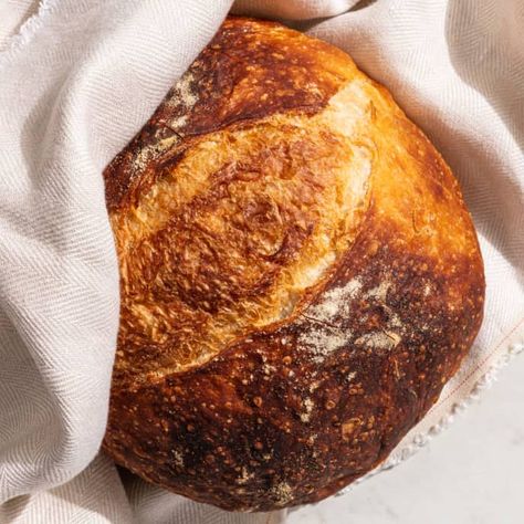 No-Knead Rustic Loaf | America's Test Kitchen Recipe Rustic Loaf, Knead Bread Recipe, Illustrated Recipes, Bread At Home, America's Test Kitchen Recipes, Rustic Bread, Country Recipes, Knead Bread, Baking Hacks