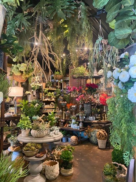 Vintage Florist Aesthetic, Aesthetic Plant Shop, Garden Shop Aesthetic, Plant Cafe Aesthetic, Plant Nursery Aesthetic, Retro Plant Shop, Botanica Shop, Horticulture Aesthetic, Vintage Garden Aesthetic