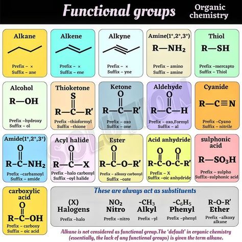 Chemistry Mnemonics, Science Header, General Chemistry Cheat Sheet, Organic Chemistry Cheat Sheet Class 12, Basic Organic Chemistry Notes, Organic Chemistry Cheat Sheet, Chirality Chemistry, Functional Groups Organic Chemistry, Empirical Formula Chemistry