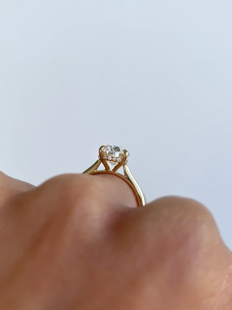 Bethany – Oval Solitaire with Hidden Halo – Ready-To-Ship | Cullen Jewellery Cathedral Setting With Hidden Halo, Oval Ring With Hidden Halo, Oval Hidden Halo Engagement Ring, Pretty Engagement Rings, Oval Solitaire Engagement Ring, Dream Engagement, Classic Engagement Rings, Oval Rings, Dream Engagement Rings