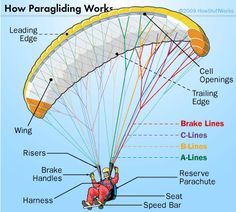 Parts of the Paraglider - Paraglider Parts | HowStuffWorks Powered Parachute, Hang Gliders, Hang Glider, Sky Diving, Air Sports, Hang Gliding, Pilot Training, Flying Car, Come Fly With Me