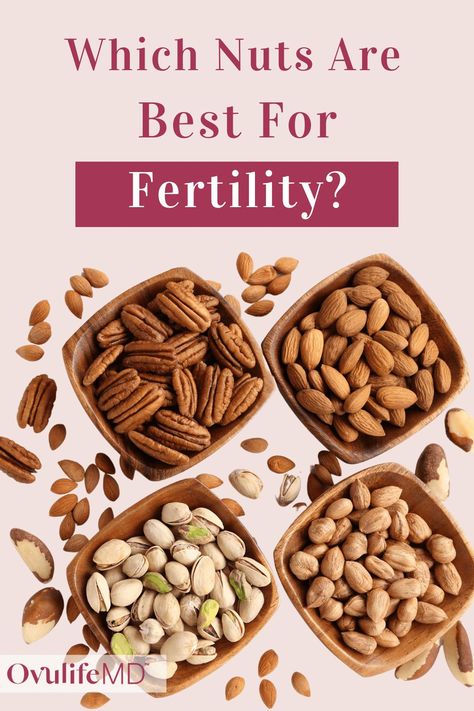 Nuts provide nutritional benefits for your fertility diet. Read on the discover - the top 5 nuts for fertility, how to store nuts to get the best benefits out of them, and a homemade almond butter recipe you can enjoy. | OvulifeMD Fertility Foods For Women, Food For Fertility Woman, Fertility Recipes, Egg Quality Fertility Improve Food, Diet To Support Fertility, Brazil Nuts Benefits, Brazil Nuts Fertility, Ivf Diet Fertility Foods, Fertility Smoothie